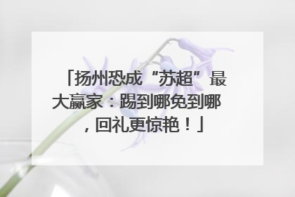扬州恐成“苏超”最大赢家：踢到哪免到哪，回礼更惊艳！