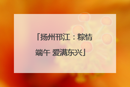 扬州邗江：粽情端午 爱满东兴