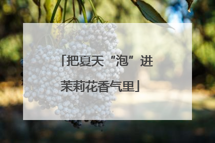 把夏天“泡”进茉莉花香气里