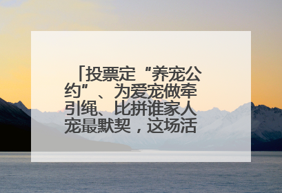 投票定“养宠公约”、为爱宠做牵引绳、比拼谁家人宠最默契，这场活动有趣更有意义