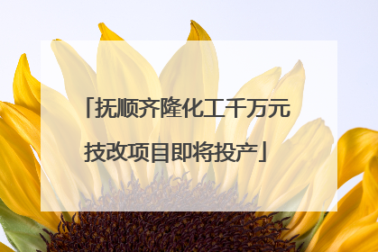 抚顺齐隆化工千万元技改项目即将投产