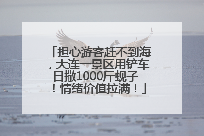 担心游客赶不到海，大连一景区用铲车日撒1000斤蚬子！情绪价值拉满！