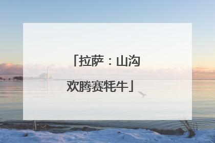 拉萨：山沟欢腾赛牦牛