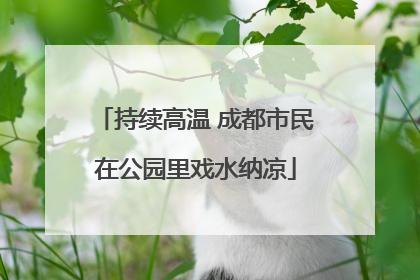 持续高温 成都市民在公园里戏水纳凉