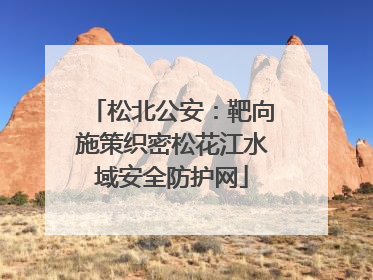 松北公安：靶向施策织密松花江水域安全防护网
