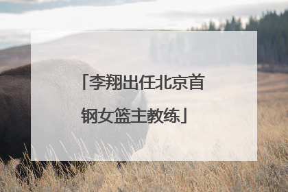 李翔出任北京首钢女篮主教练