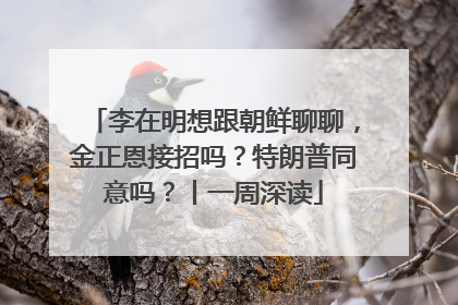 李在明想跟朝鲜聊聊，金正恩接招吗？特朗普同意吗？丨一周深读