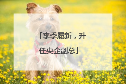 李季履新，升任央企副总
