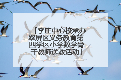 李庄中心校承办翠屏区义务教育第四学区小学数学骨干教师送教活动