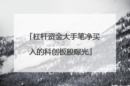 杠杆资金大手笔净买入的科创板股曝光