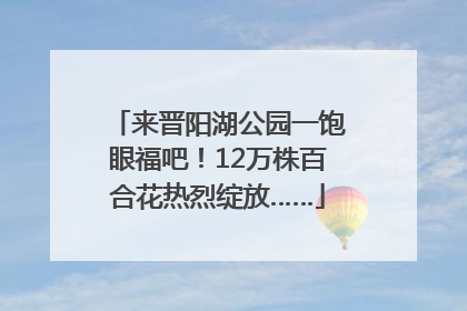 来晋阳湖公园一饱眼福吧！12万株百合花热烈绽放……