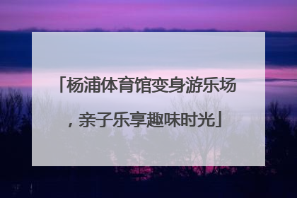 杨浦体育馆变身游乐场，亲子乐享趣味时光