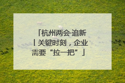 杭州两会·追新丨关键时刻，企业需要“拉一把”