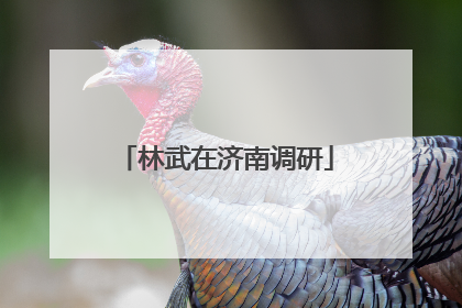 林武在济南调研