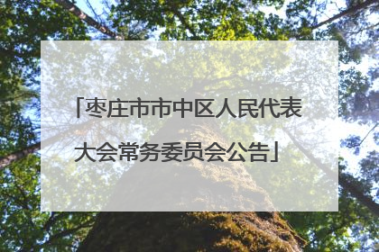 枣庄市市中区人民代表大会常务委员会公告