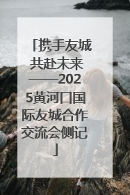 携手友城 共赴未来——2025黄河口国际友城合作交流会侧记