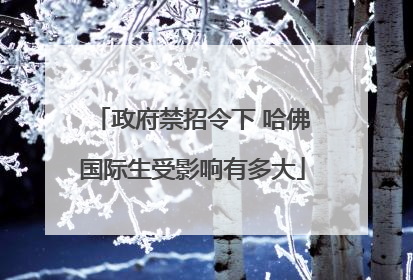 政府禁招令下 哈佛国际生受影响有多大