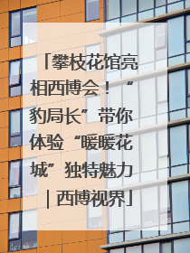 攀枝花馆亮相西博会！“豹局长”带你体验“暖暖花城”独特魅力｜西博视界