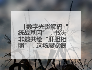 数字光影解码“统战基因”，书法非遗共绘“肝胆相照”，这场展览很有创意！