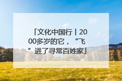 文化中国行丨2000多岁的它，“飞”进了寻常百姓家
