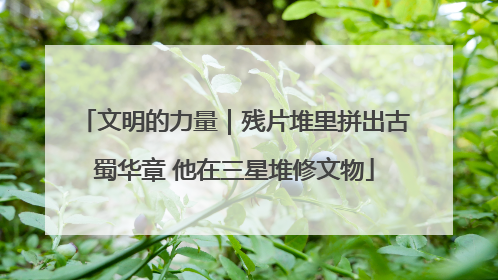 文明的力量｜残片堆里拼出古蜀华章 他在三星堆修文物