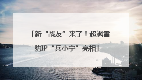 新“战友”来了！超飒雪豹IP“兵小宁”亮相