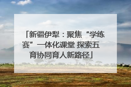 新疆伊犁：聚焦“学练赛”一体化课堂 探索五育协同育人新路径
