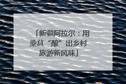 新疆阿拉尔：用桑葚“酿”出乡村旅游新风味