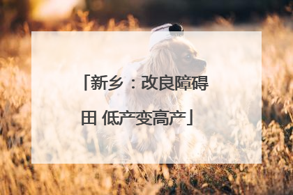 新乡：改良障碍田 低产变高产