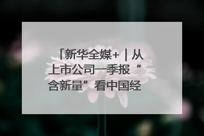 新华全媒+｜从上市公司一季报“含新量”看中国经济发展向“新”