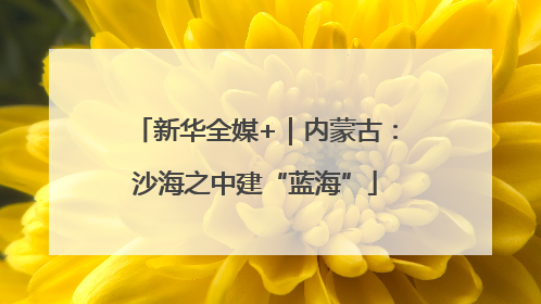新华全媒+｜内蒙古：沙海之中建“蓝海”