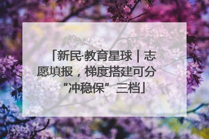 新民·教育星球｜志愿填报，梯度搭建可分“冲稳保”三档