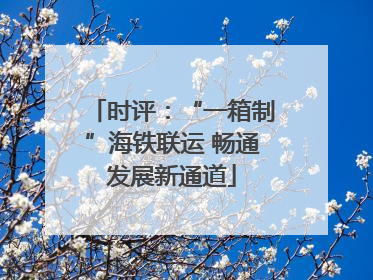 时评：“一箱制”海铁联运 畅通发展新通道