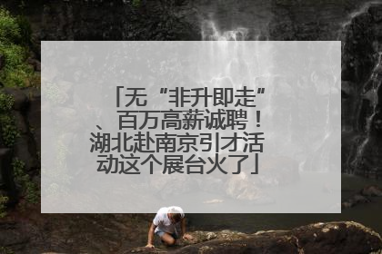 无“非升即走”、百万高薪诚聘！湖北赴南京引才活动这个展台火了