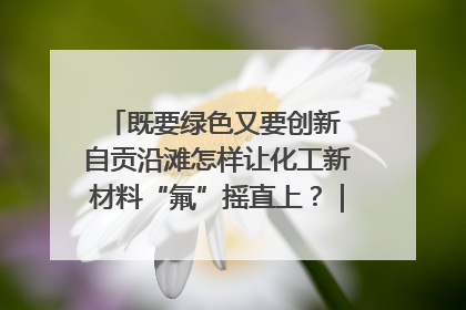 既要绿色又要创新 自贡沿滩怎样让化工新材料“氟”摇直上？｜美好生活有“盐”味
