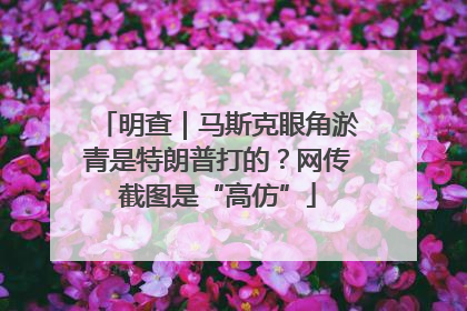 明查｜马斯克眼角淤青是特朗普打的？网传截图是“高仿”