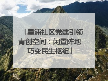 星浦社区党建引领青创空间：闲置阵地巧变民生枢纽