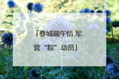 春城端午情 军营“粽”动员