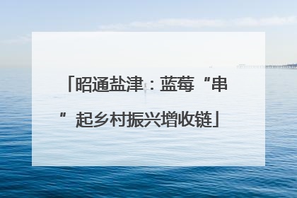 昭通盐津：蓝莓“串”起乡村振兴增收链