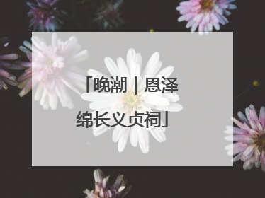 晚潮｜恩泽绵长义贞祠