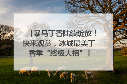暴马丁香陆续绽放！快来观赏，冰城最美丁香季“终极大招”