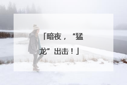 暗夜，“猛龙”出击！