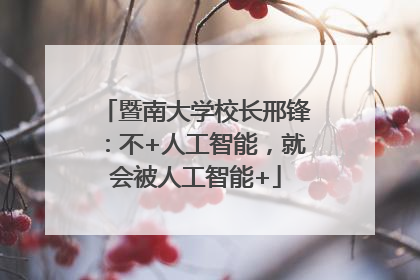 暨南大学校长邢锋：不+人工智能，就会被人工智能+