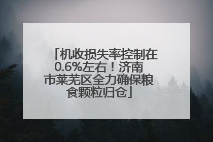 机收损失率控制在0.6%左右！济南市莱芜区全力确保粮食颗粒归仓