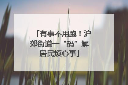 有事不用跑！沪郊街道一“码”解居民烦心事