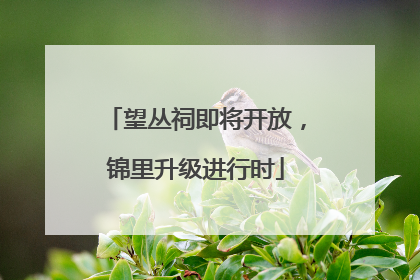 望丛祠即将开放，锦里升级进行时
