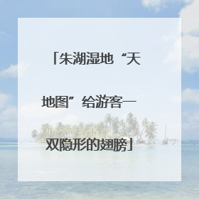 朱湖湿地“天地图”给游客一双隐形的翅膀