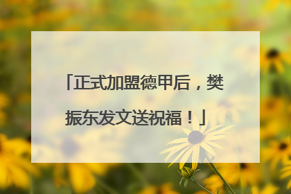 正式加盟德甲后，樊振东发文送祝福！