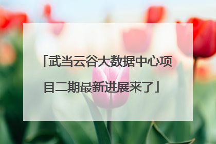 武当云谷大数据中心项目二期最新进展来了