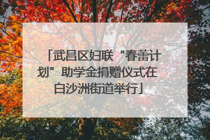 武昌区妇联“春蕾计划”助学金捐赠仪式在白沙洲街道举行